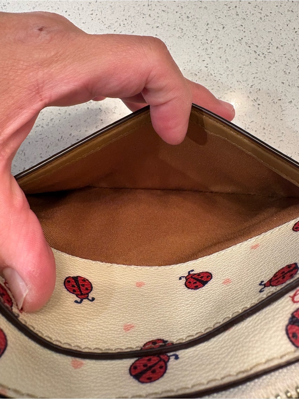 Coach | Mini Camera Bag | Lady Bug Print - Picture 13 of 13